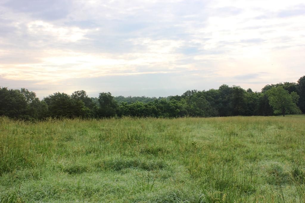 38 Acres, JESSE JAMES ROAD, Pineville, MO 64856 Land and Farm