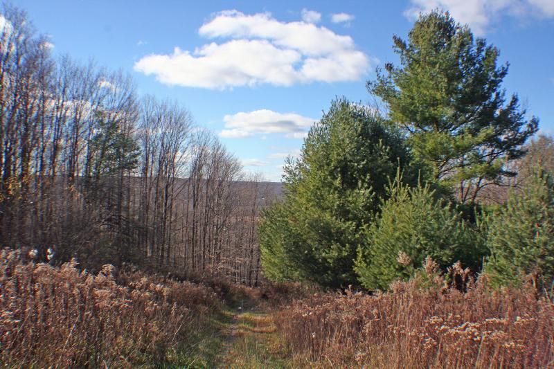 66.4 Acres, 2802 Hillside Drive, Gerry, NY 14740 Land and Farm