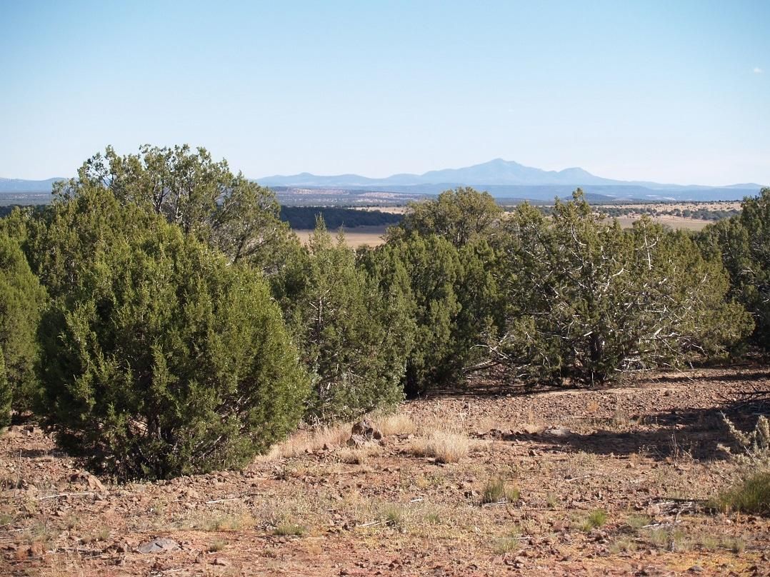 40 Acres, Ash Fork, AZ 86320 Land and Farm