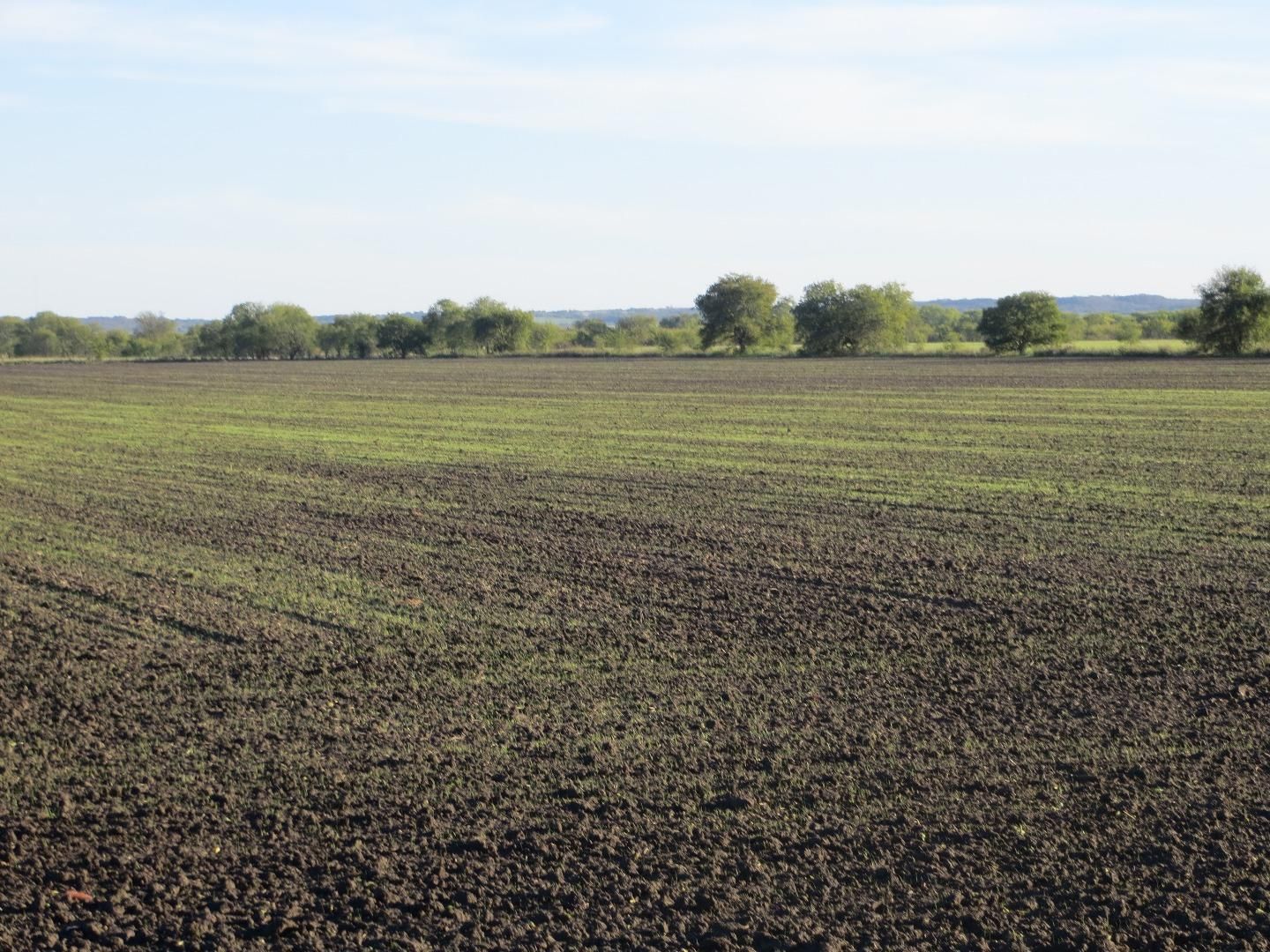 60.36 Acres, Maypearl, TX 76064 Land and Farm