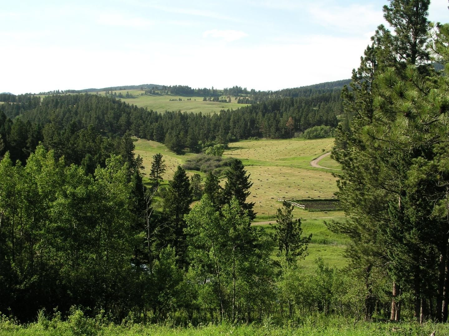 142 Acres, Lewistown, MT 59457 Land and Farm