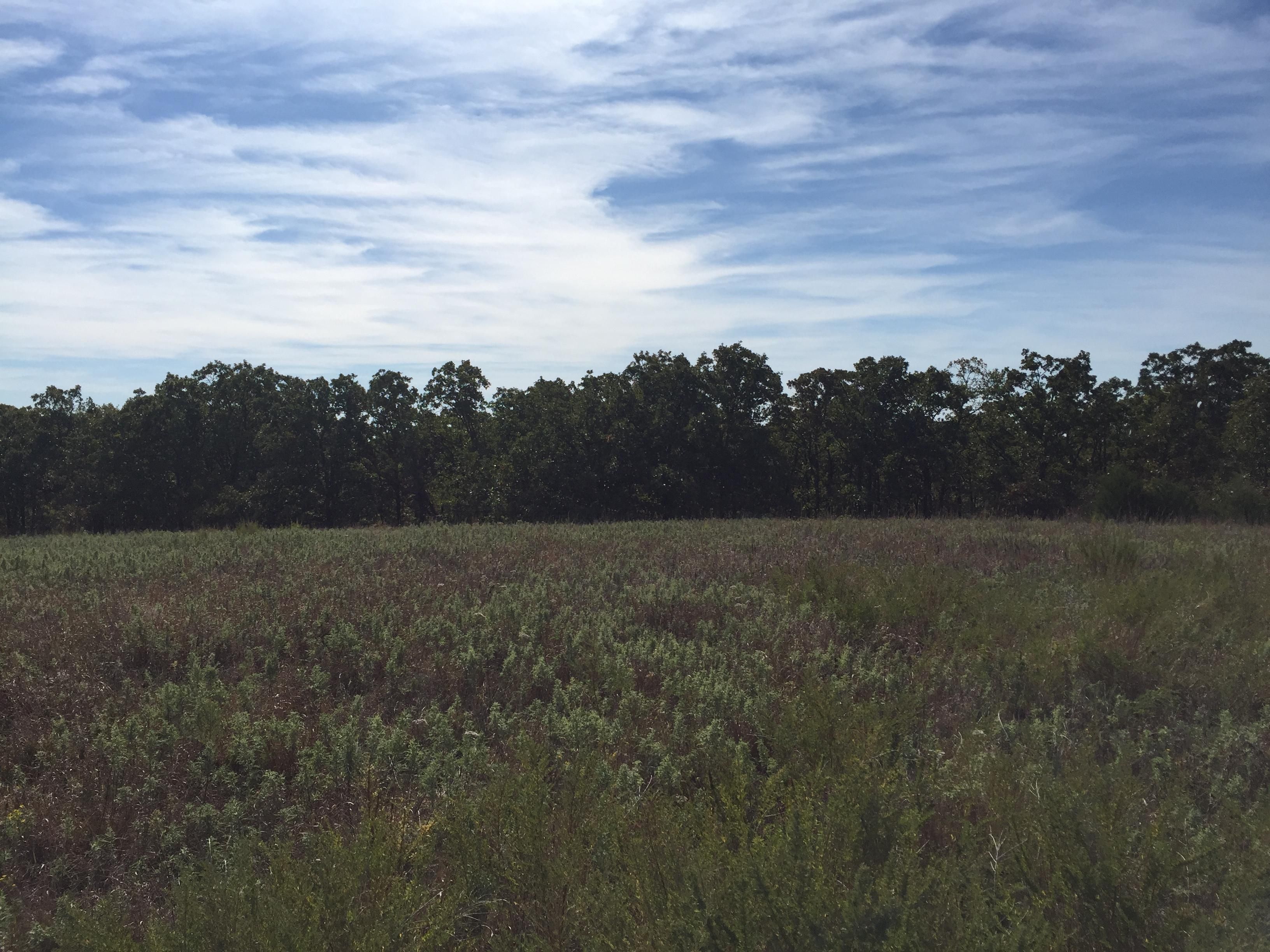 80 Acres, E 130, Dustin, OK 74839 Land and Farm