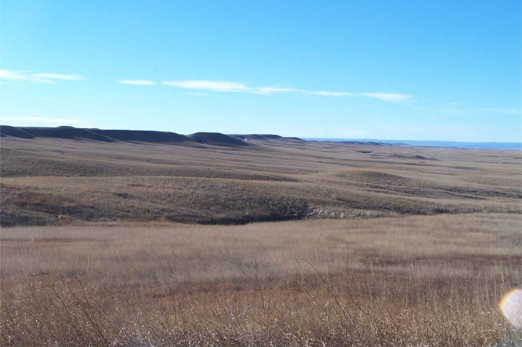 250 Acres, New Underwood, SD 57761 Land and Farm