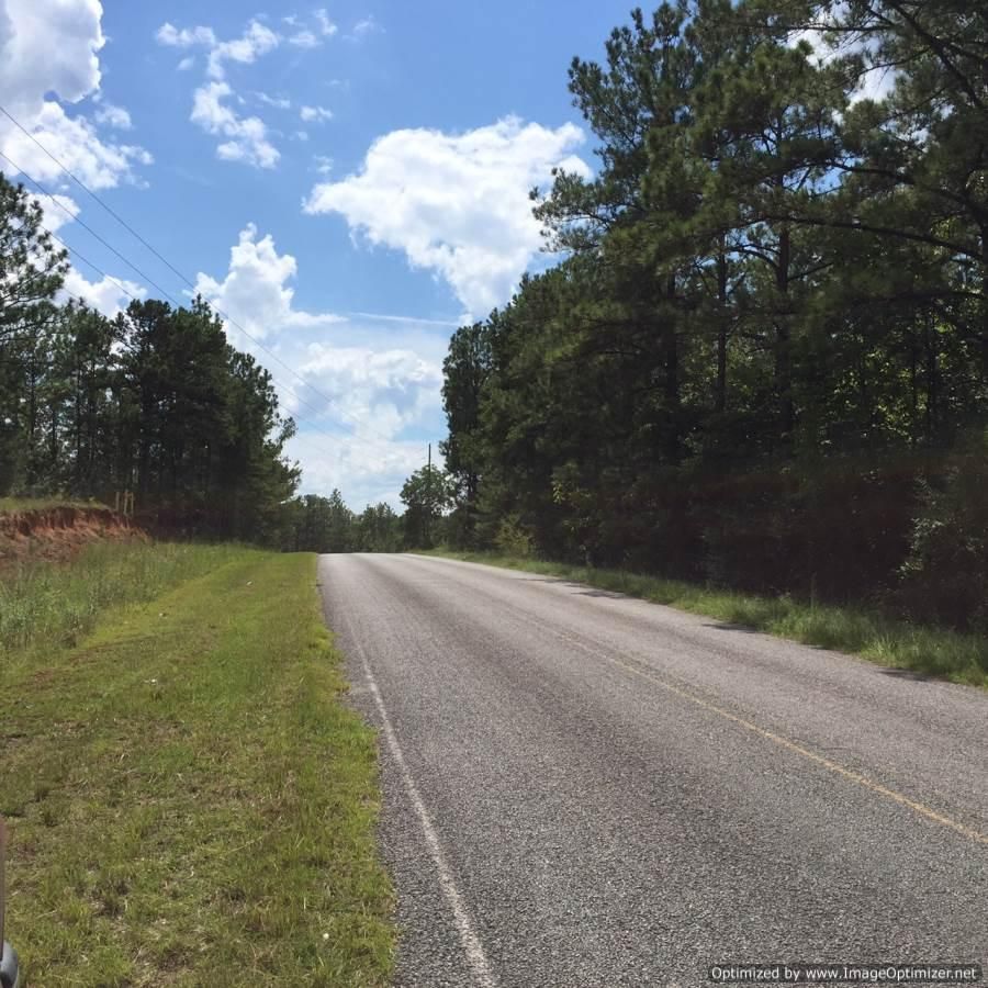 18 Acres, 600 Pleasant Grove Chapparal Road, Waynesboro, MS 39367