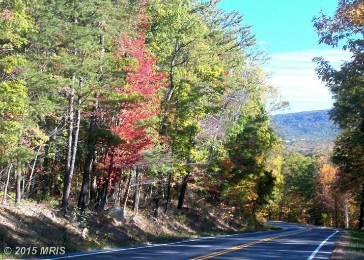 Bushy Ridge Drive, Star Tannery, VA 22654 Land and Farm