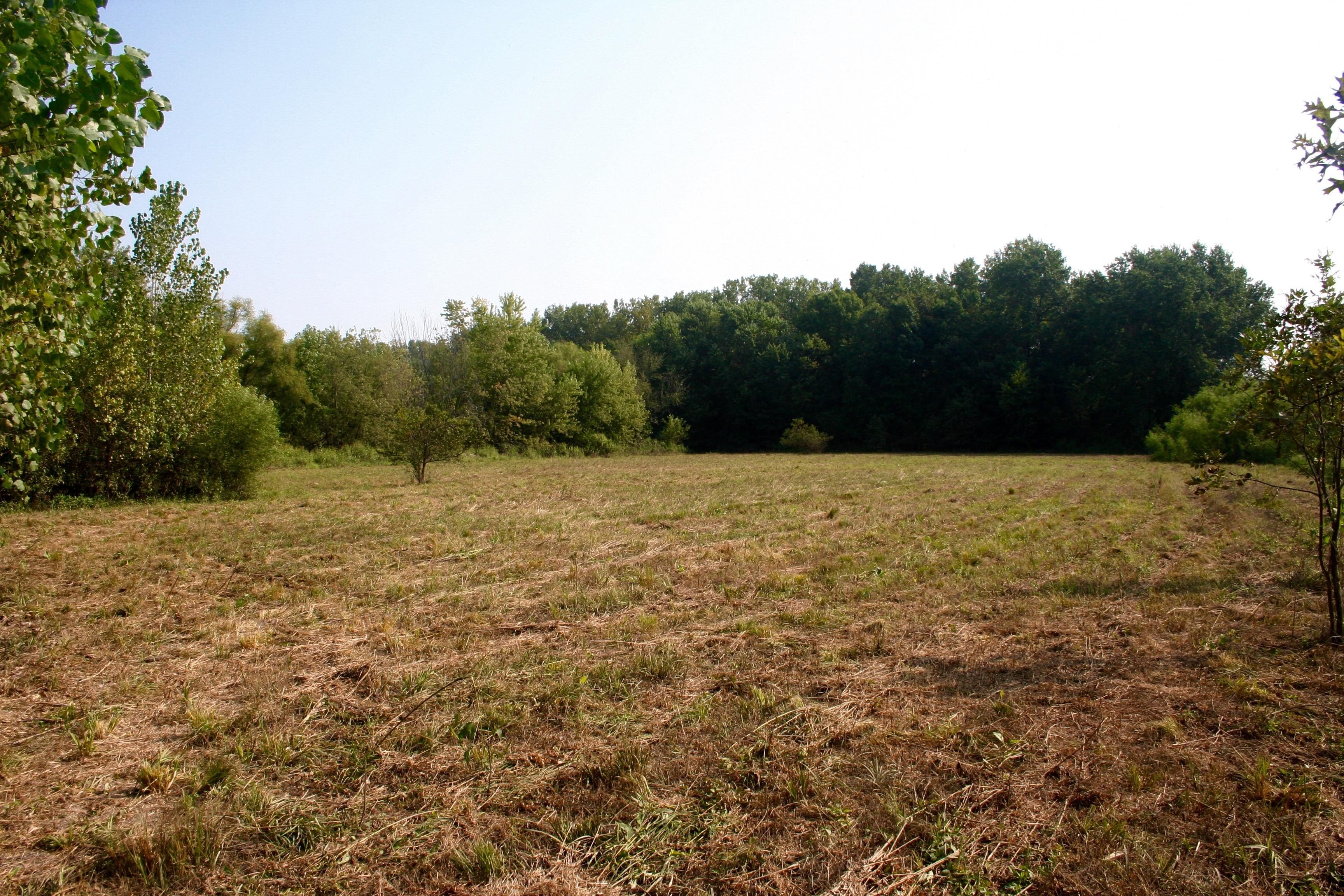 00 Hwy FF, Saint Patrick, MO 63466 Land and Farm