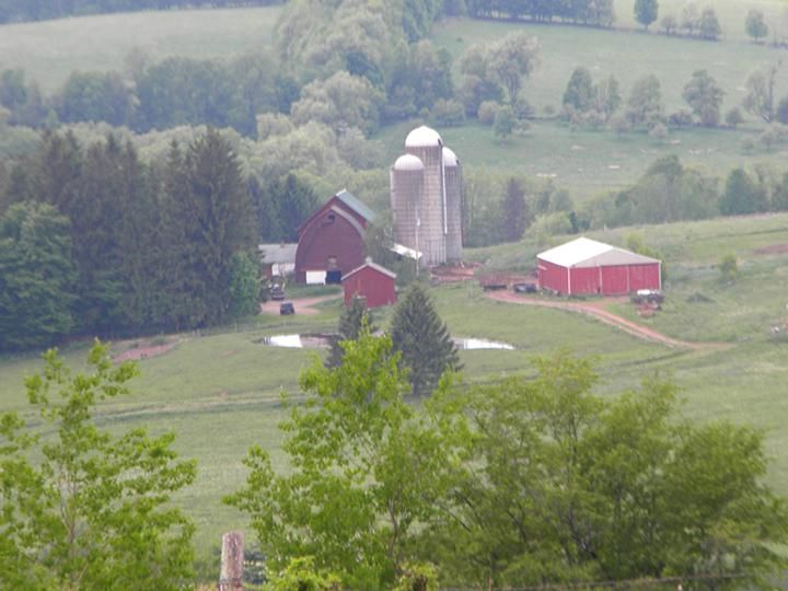 57 Bachler Road, Meredith, NY 13757 Land and Farm