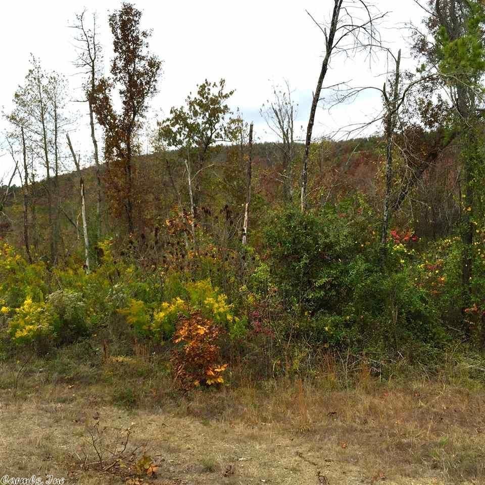 100 Acres, Glenwood, AR 71943 Land and Farm