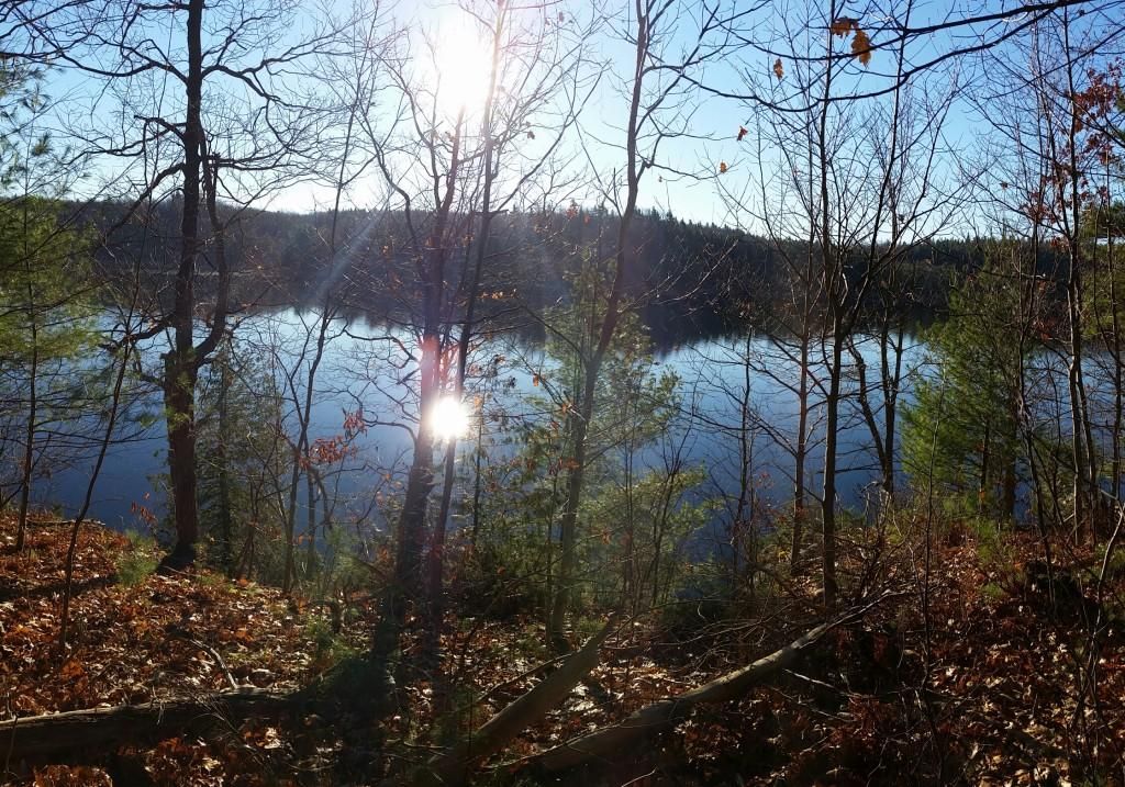 Honey Hill Road, Theresa, NY 13691 Land and Farm