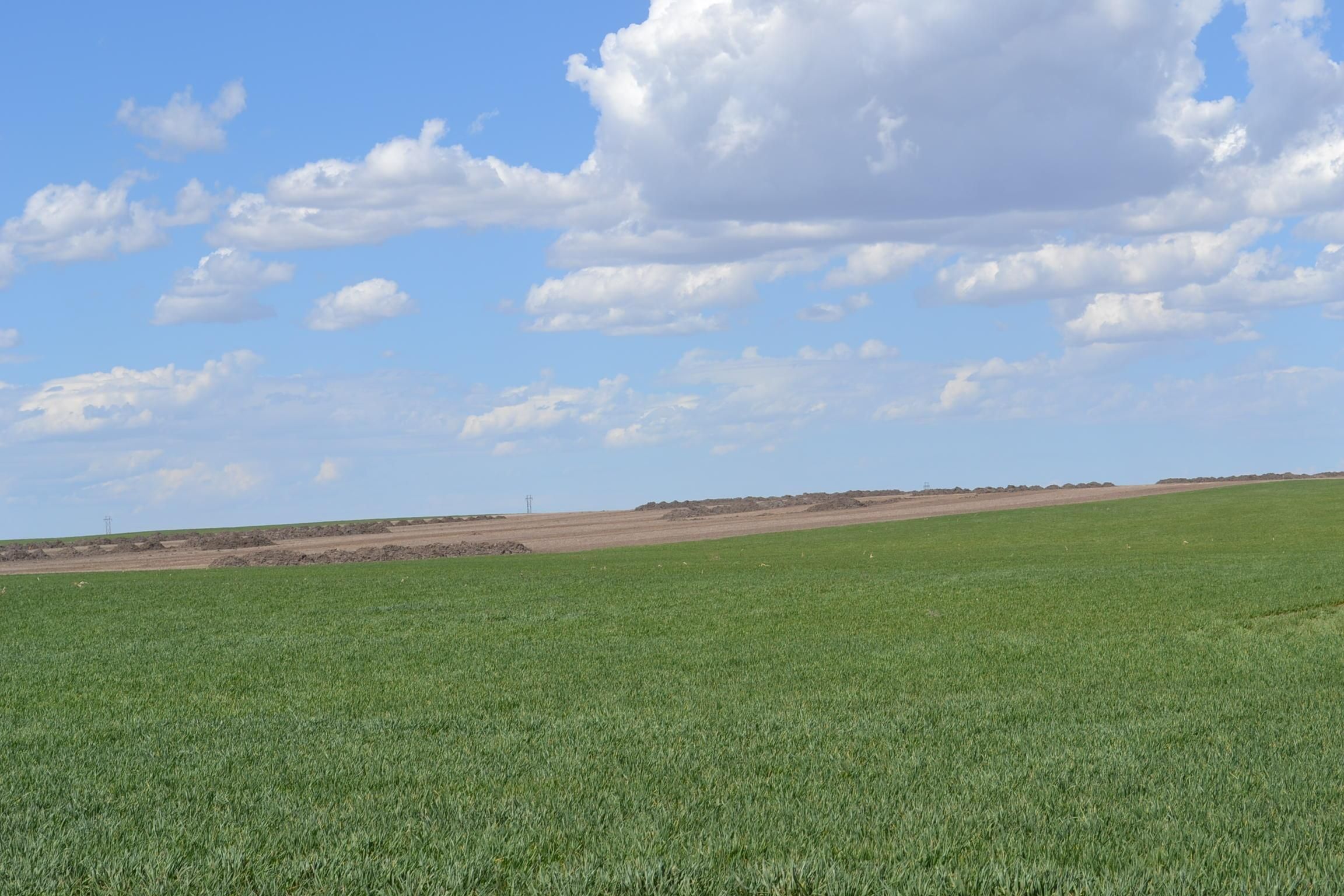 1,344 acres in Hemingford, NE, 69348 Land and Farm