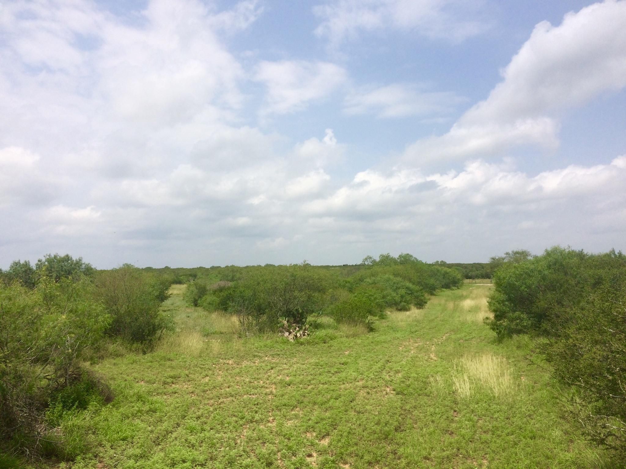 60 Acres, Benavides, TX 78384 Land and Farm