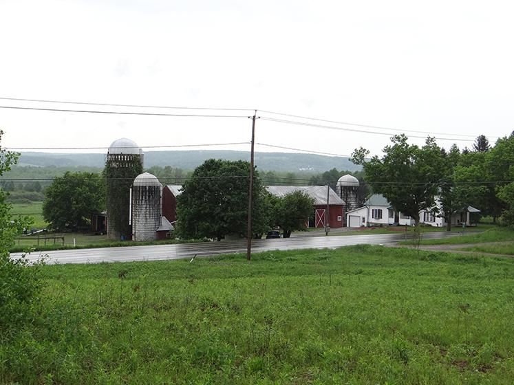 162.4 Acres, 4859 Route 60, Gerry, NY 14740 Land and Farm