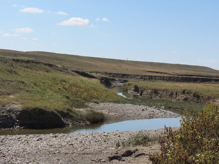 22,298 acres in Springer, NM, 87747 Land and Farm