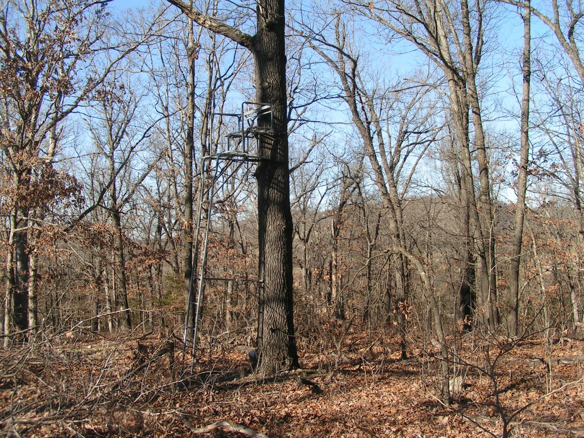 40 Acres, CR 7081, Green Forest, AR 72638 Land and Farm