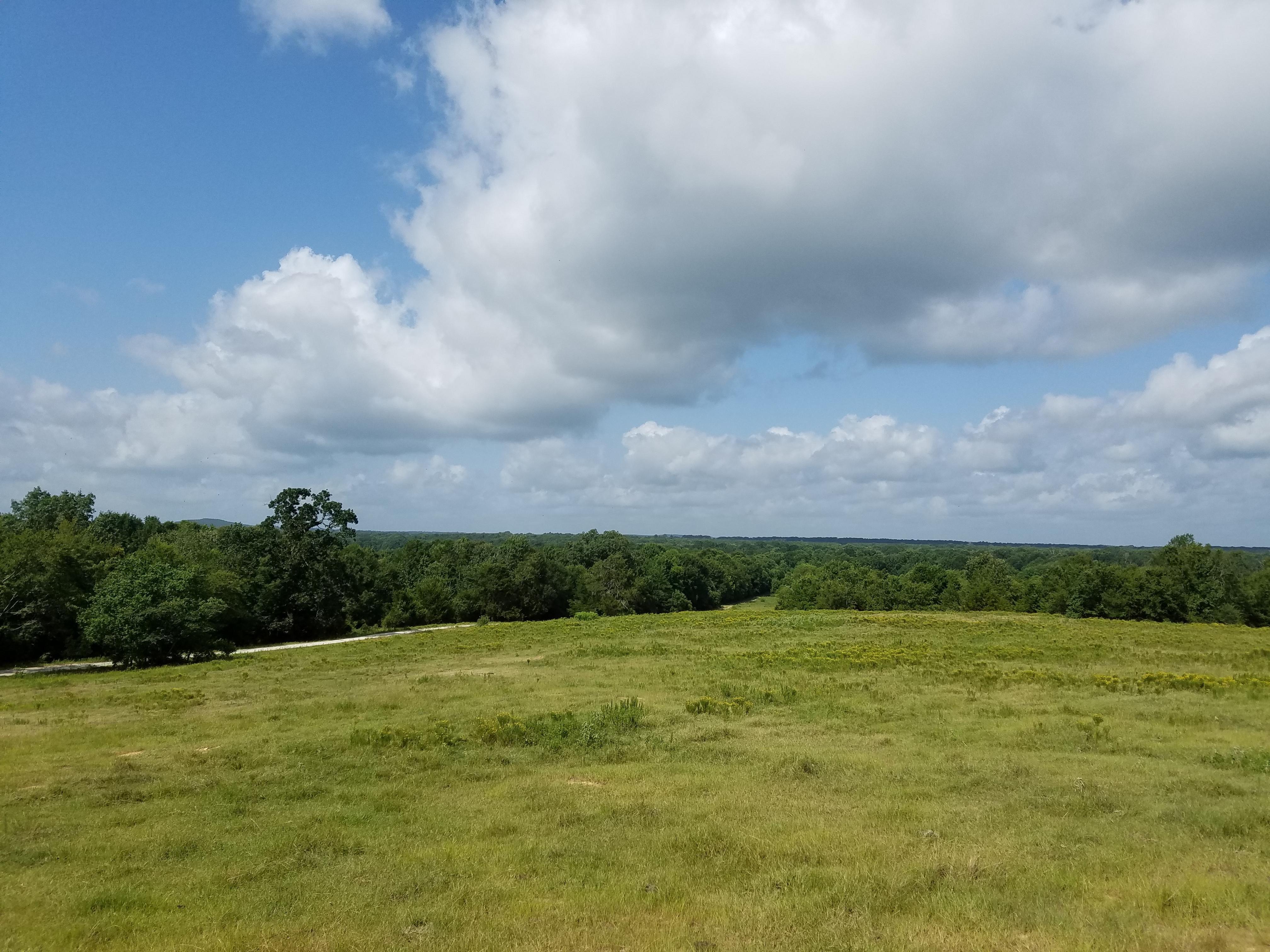 200 acres in Timpson, TX, 75975 Land and Farm