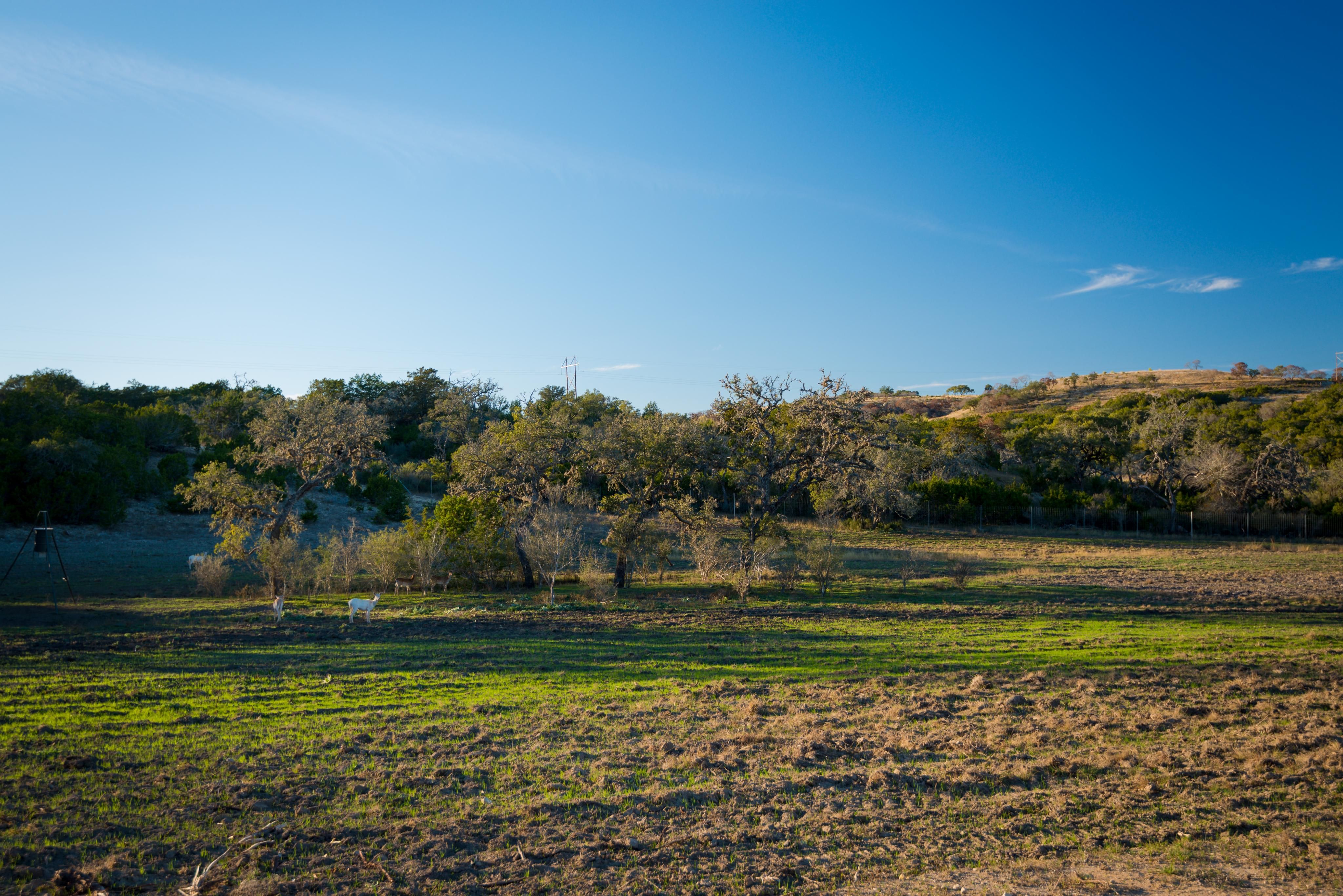 110 Acres, Fall Creek Rd, Kerrville, TX 78028 Land and Farm