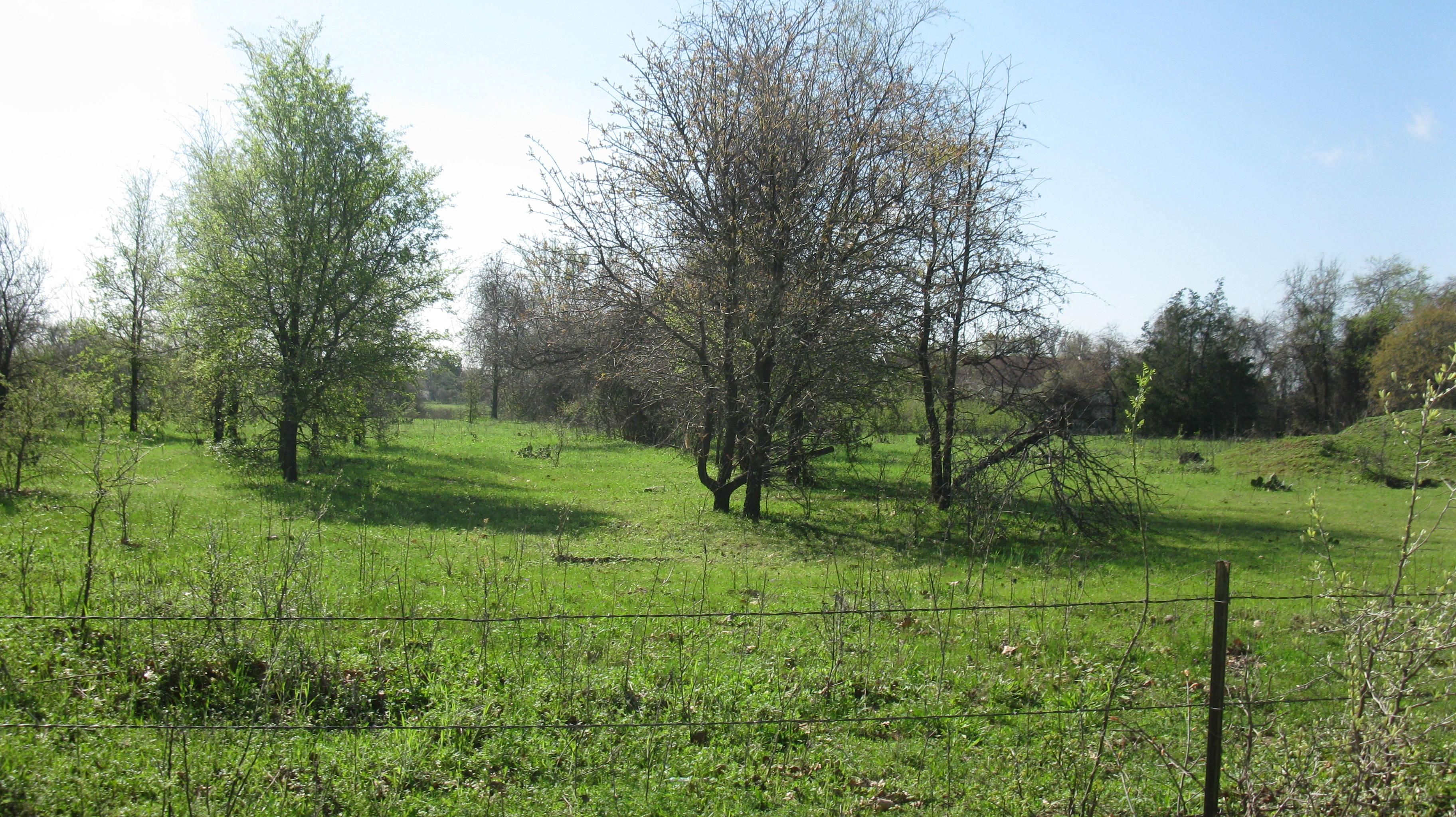 10.29 Acres, CR 423A, Golinda, TX 76655 Land and Farm