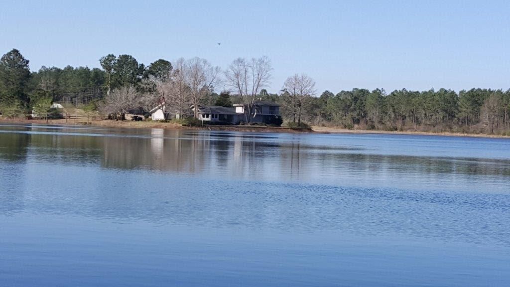 208 Acres, 3581 Spurlock Road, Alapaha, GA 31622 Land and Farm