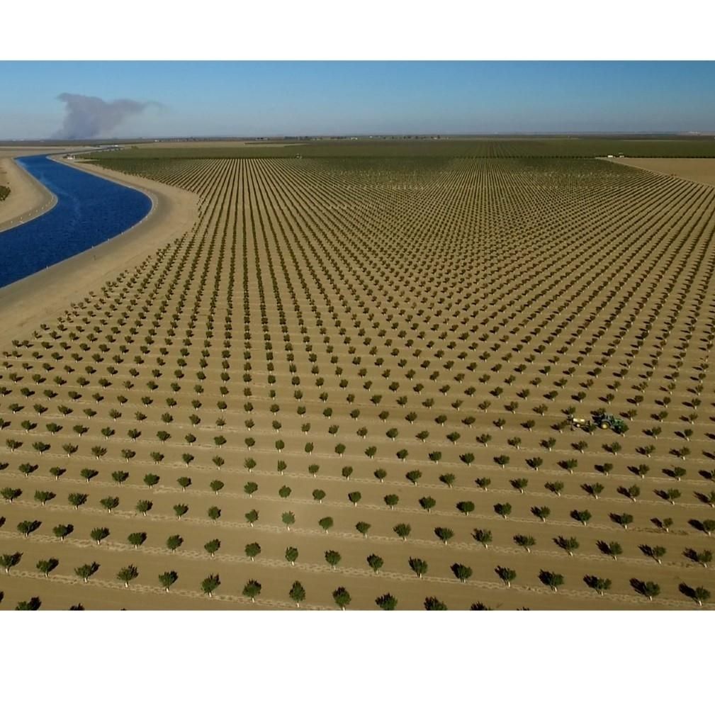 Highway 33, Cantua Creek, CA 93608 Land and Farm