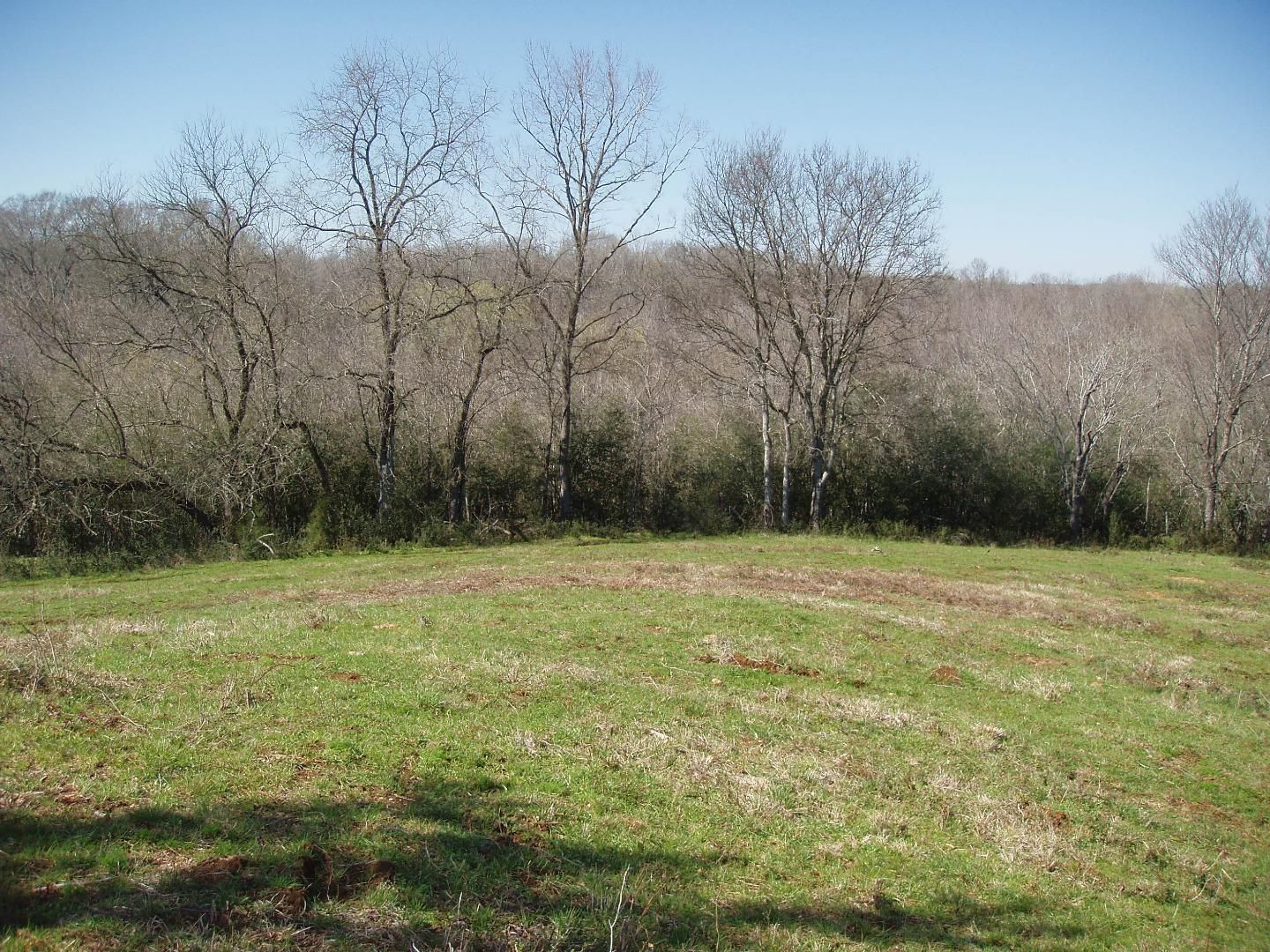 230 Acres, 000 FM 2213, San Augustine, TX 75972 Land and Farm