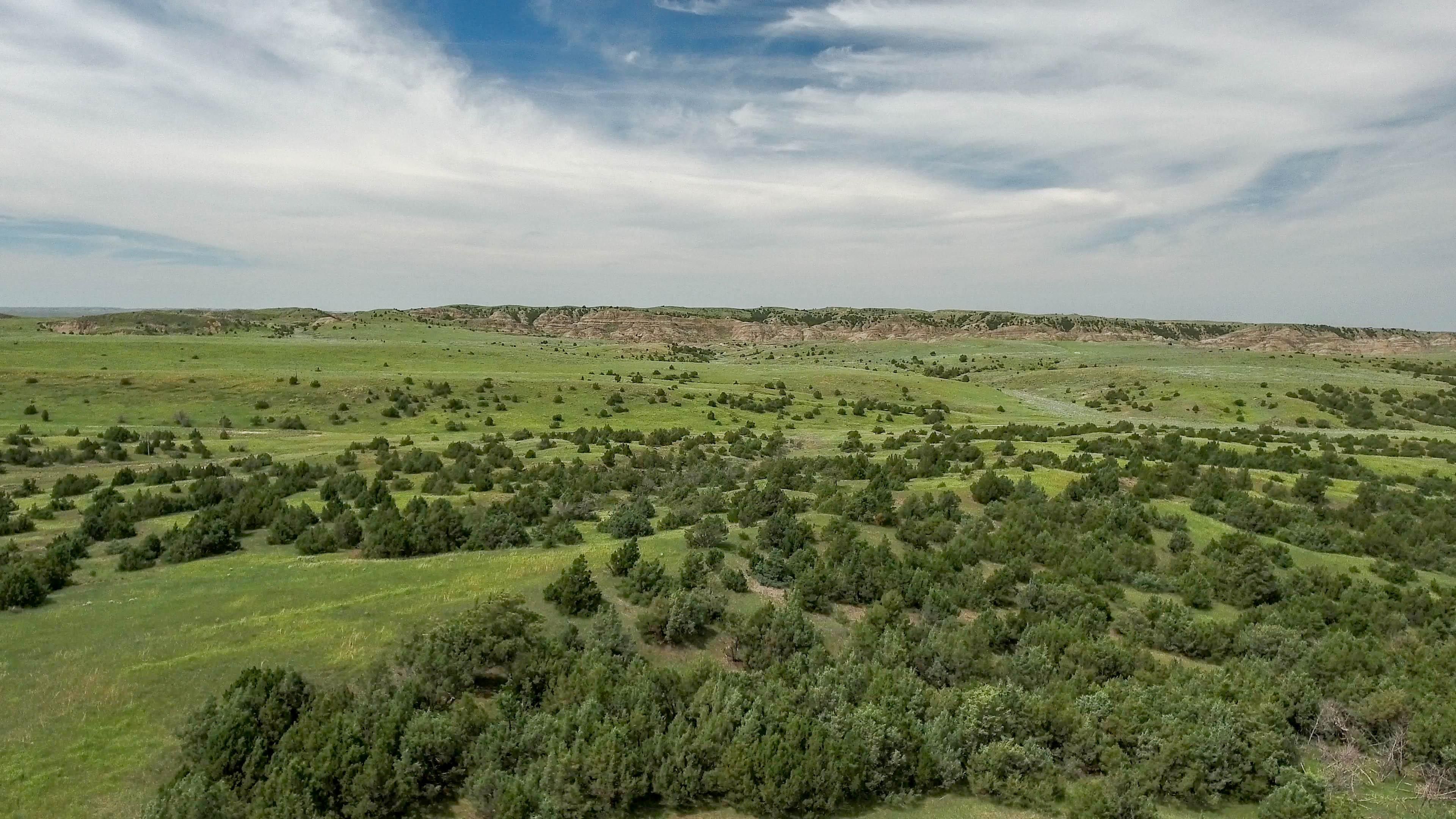 Pine Unit Road, Wibaux, MT 59353 MLS 297050 Land and Farm