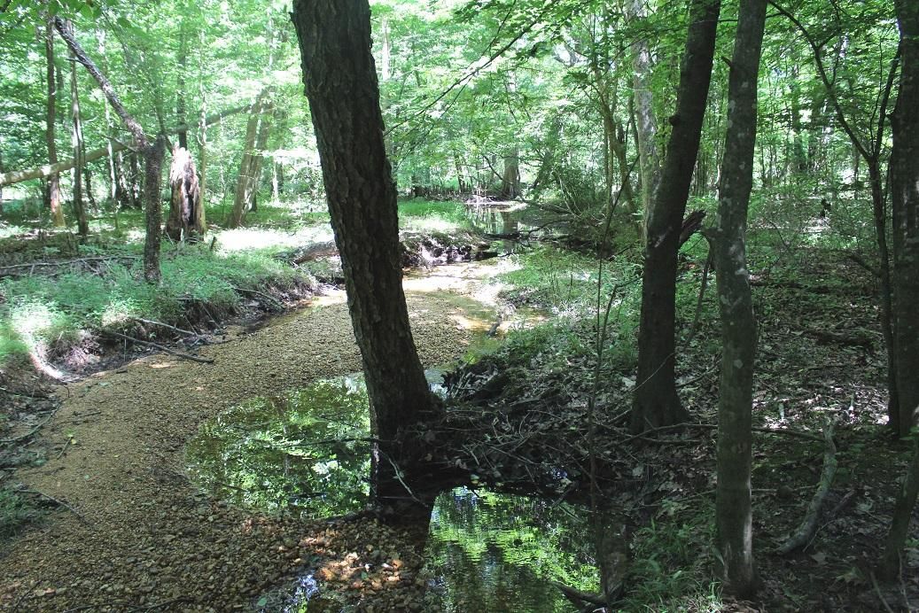 133 Acres, 15244 Riverton Rose Trail, Cherokee, AL 35616 Land and Farm