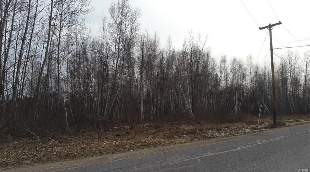 113.11 Acres, 0 Hax Road, La Fargeville, NY 13656 Land and Farm