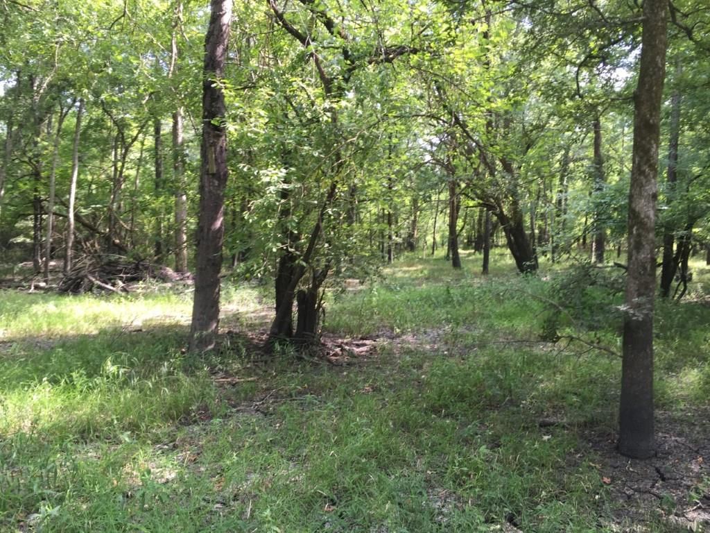 Farm to Market 44, Annona, TX 75550 Land and Farm