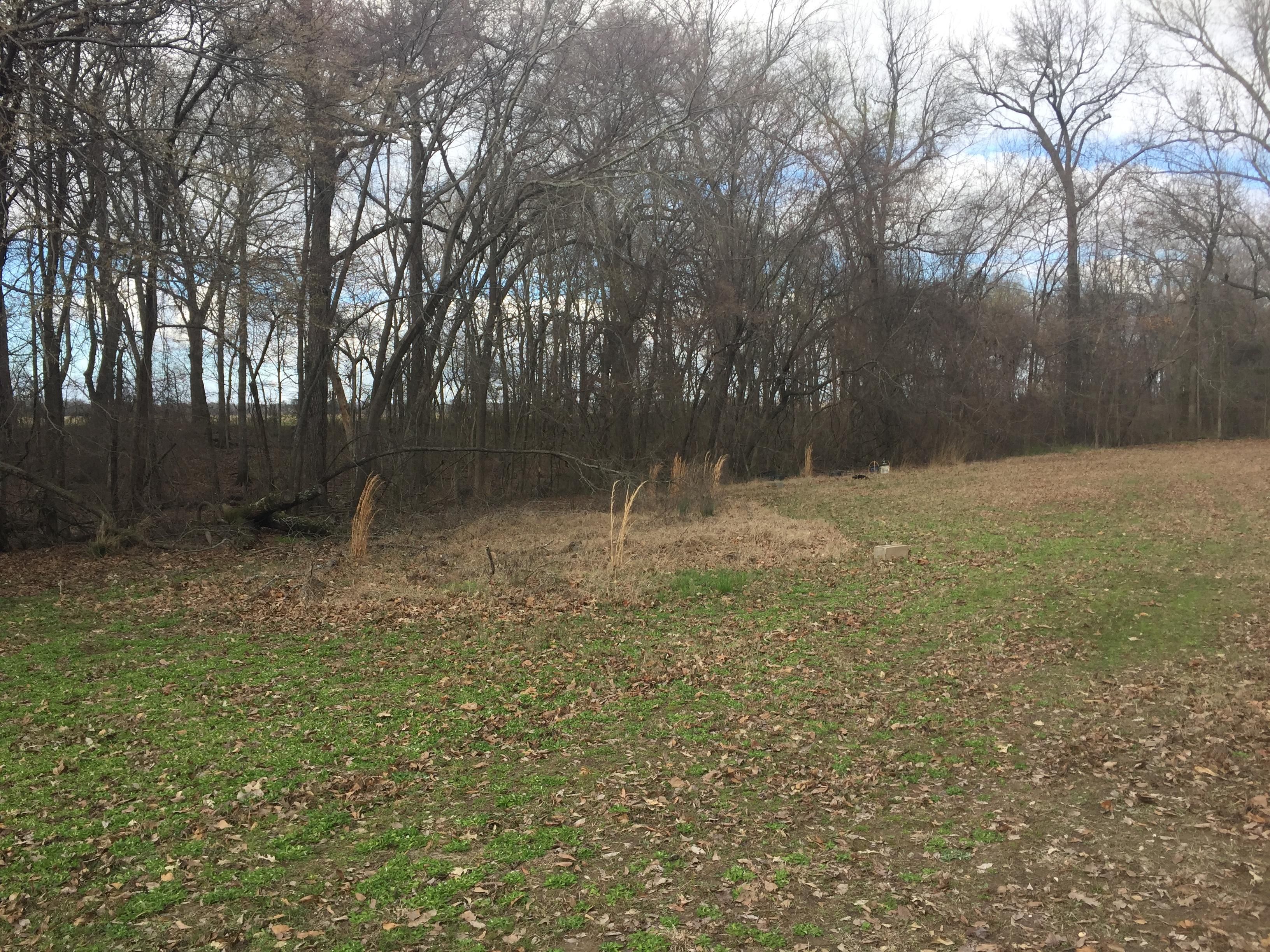 8.62 acres in Humphrey, AR, 72073 Land and Farm