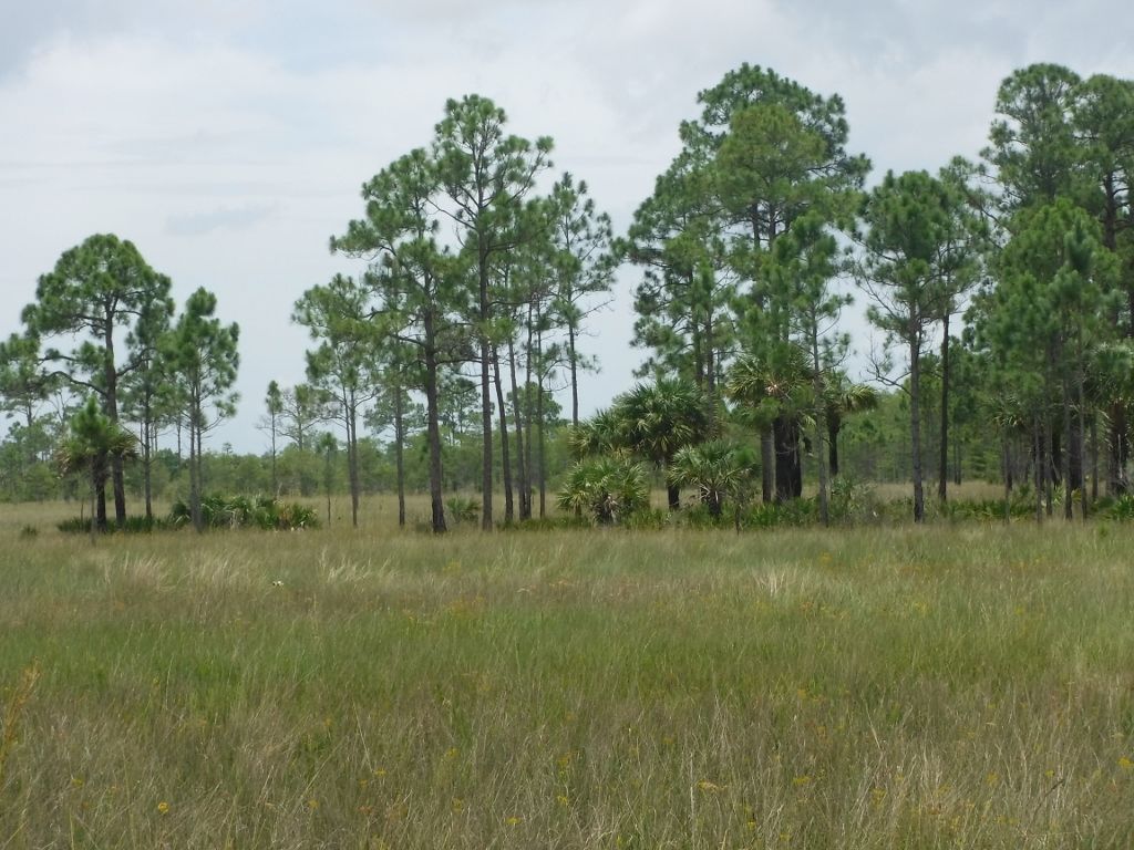1.25 Acres, 25400 Birdon Road, Ochopee, FL 34141 Land and Farm