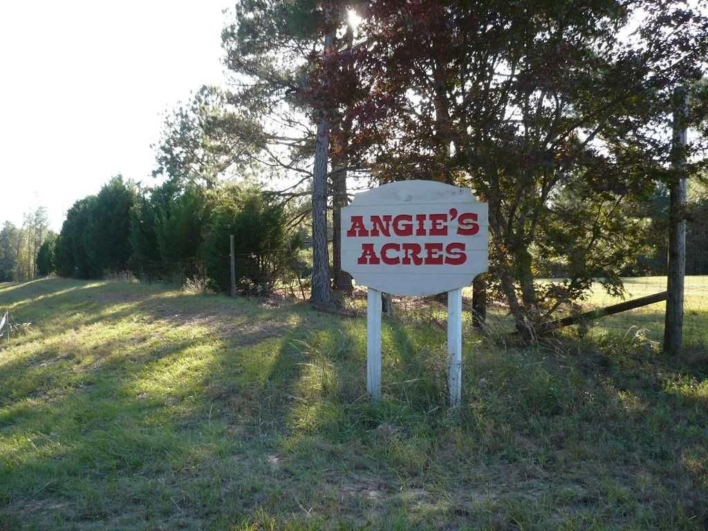 76.4 Acres, 883 Pebble, Reynolds, GA 31076 Land and Farm