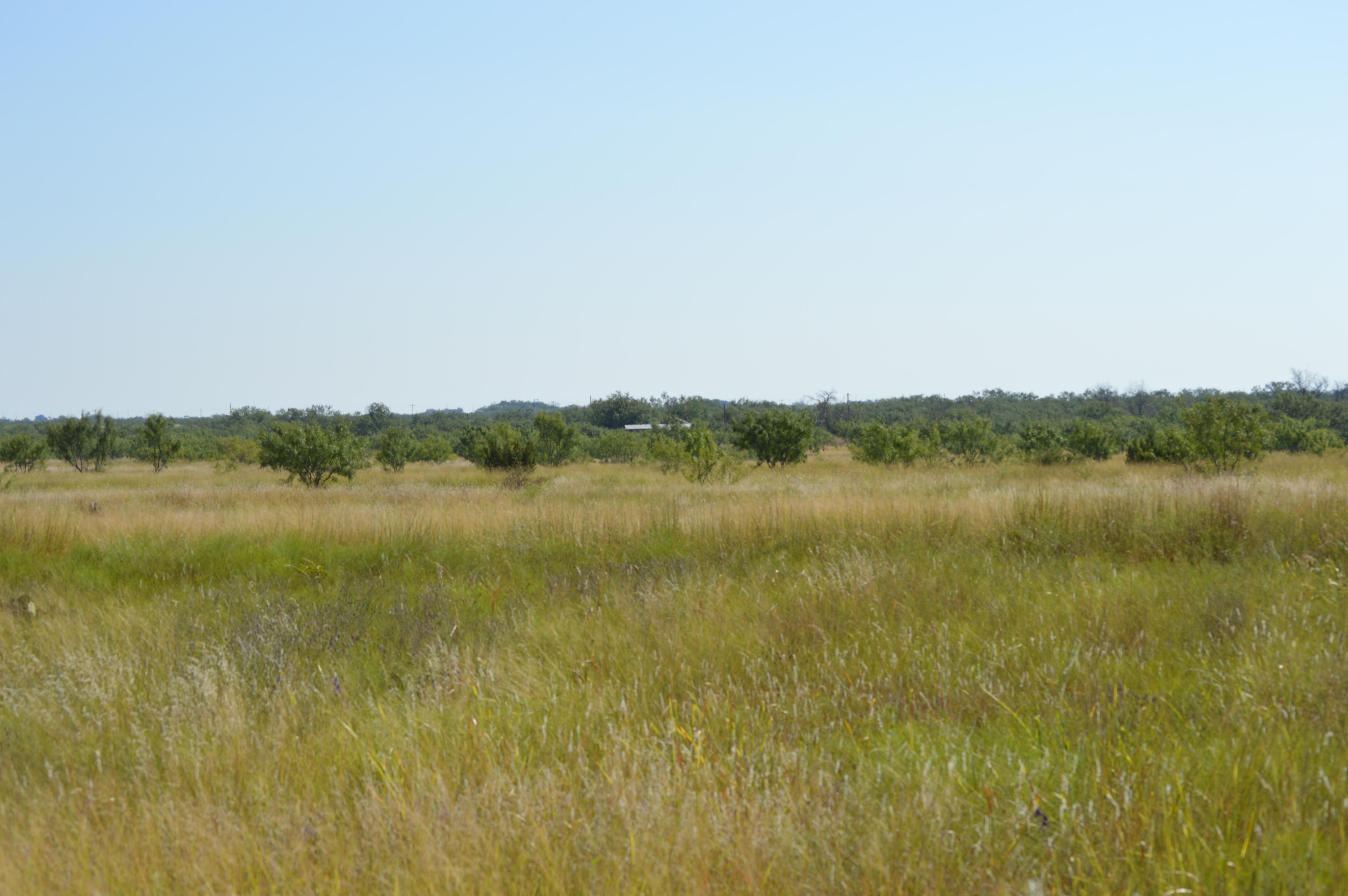 117 Acres, 9793 west FM 1692, San Angelo, TX 76861 Land and Farm