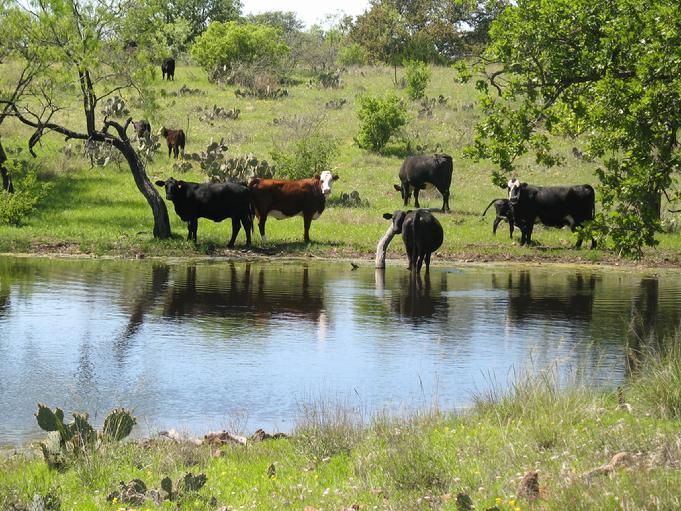 41 Acres, Co Rd 113, Llano, TX 78643 Land and Farm