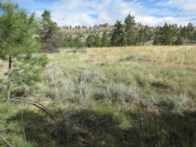20 Acres, 3055 Red & King Gulch Road, Laurel, MT 59044 Land and Farm