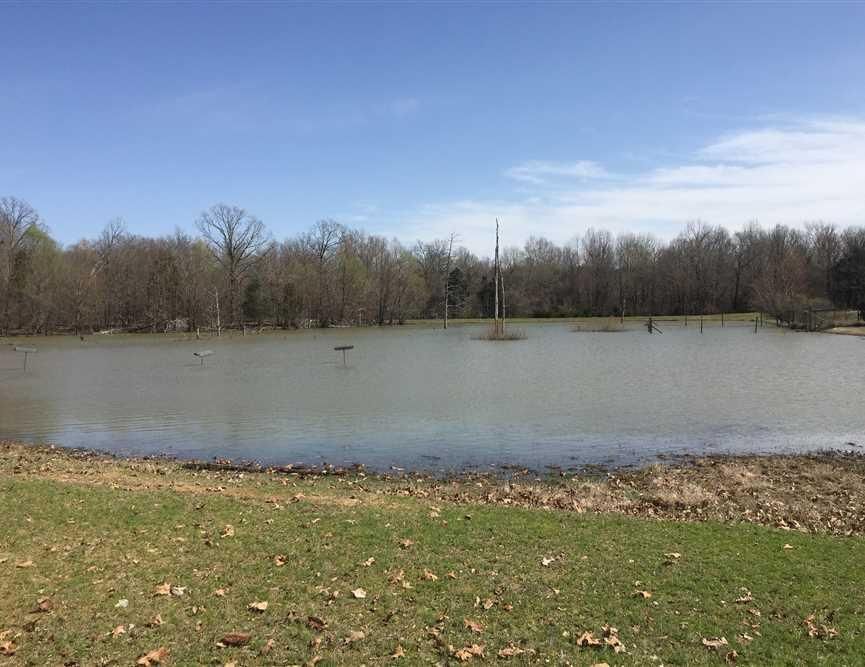 70 Acres, 559 Sunny Side Lane, Dewitt, AR 72042 Land and Farm