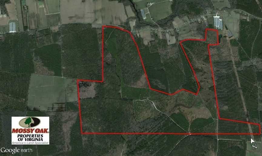 761 Acres, Off Saxis Rd., Hallwood, VA 23359 Land and Farm