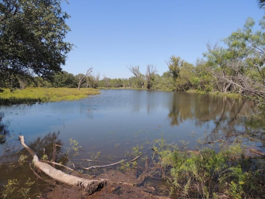 102 Acres, Novice, TX 79538 Land and Farm