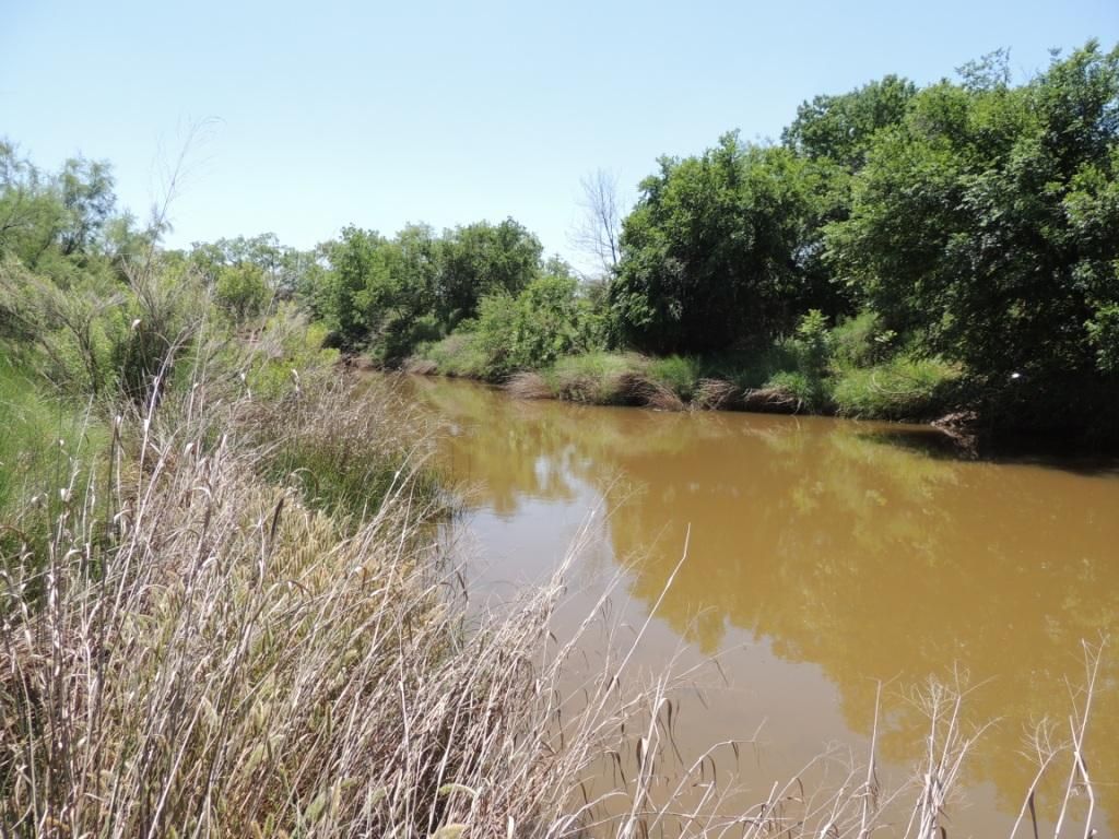 50 Acres, Ballinger, TX 76821 Land and Farm