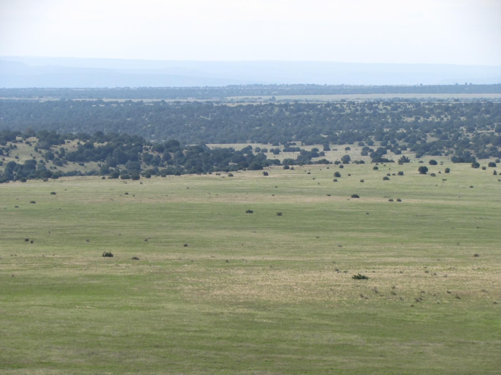 8,880.8 Acres, Mills Canyon Rd, Wagon Mound, NM 87752 Land and Farm