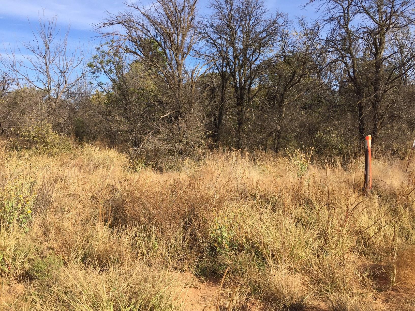 10 Acres, N2610 Rd & E0410 Rd, Ringwood, OK 73768 Land and Farm