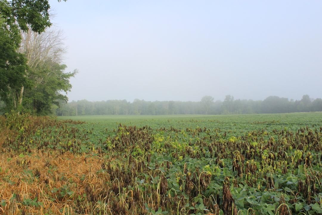 40.53 Acres, 2158 Township Rd 180, Fredericktown, OH 43019 Land and Farm