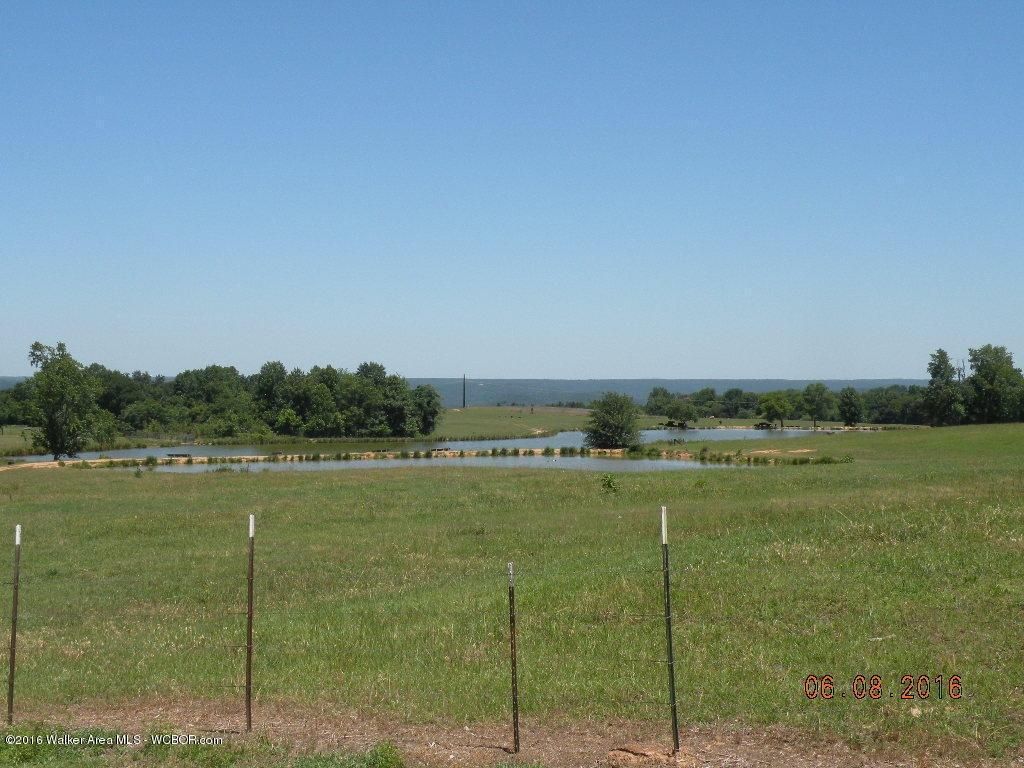 252 Acres, YORK MOUNTAIN ROAD, Empire, AL 35063 Land and Farm