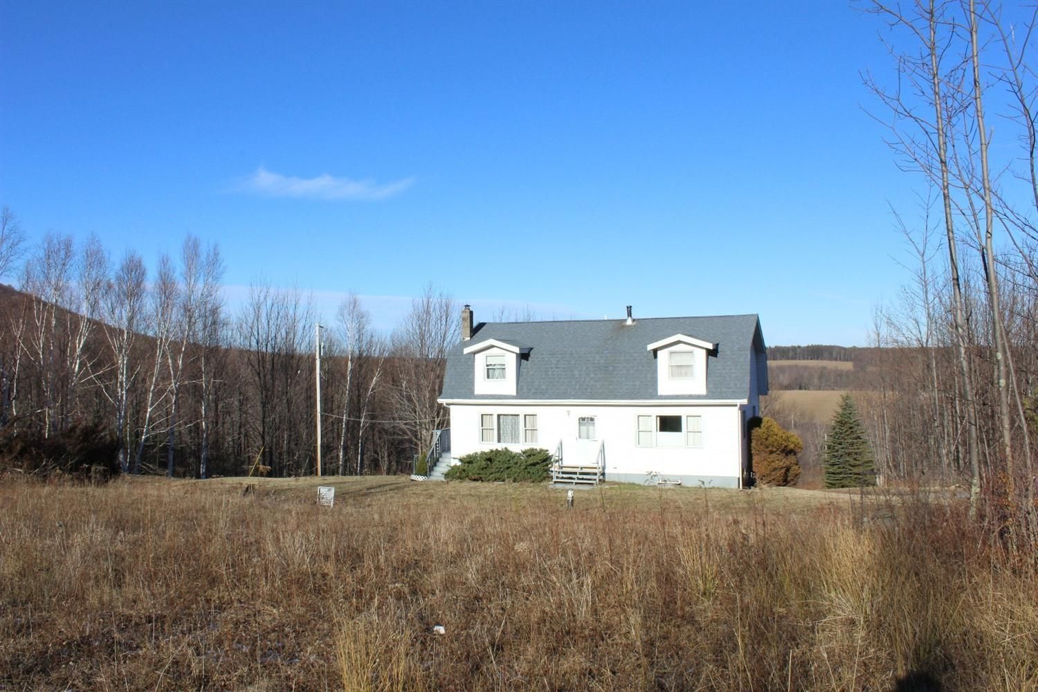 8.31 Acres, 20 VanDyke Road, Grand NY 12434 Land and Farm