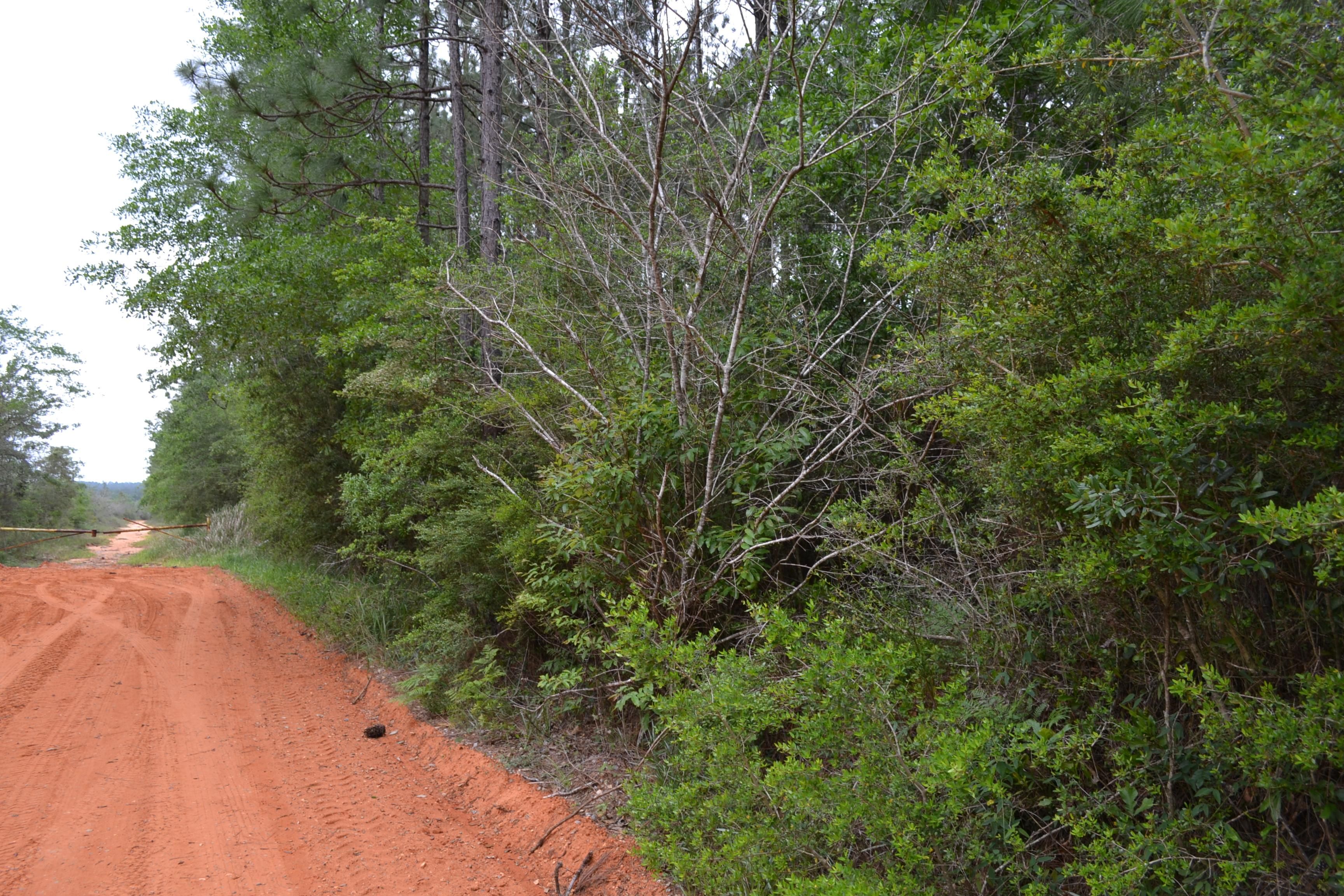 15.7 Acres, CC Road, Elberta, AL 36530 Land and Farm
