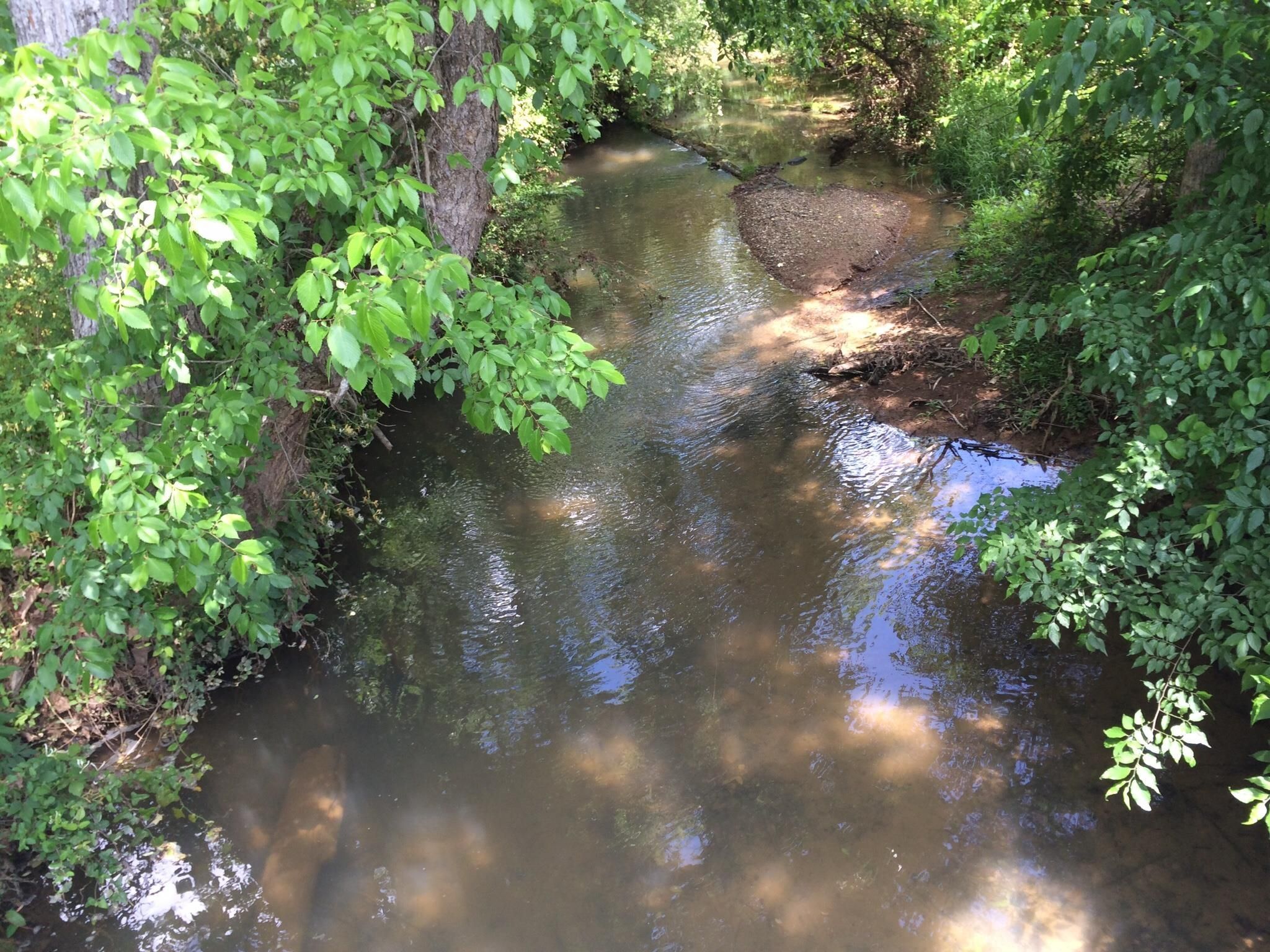 100 Acres, 0 Horseshow Rd, Adairsville, GA 30103 Land and Farm