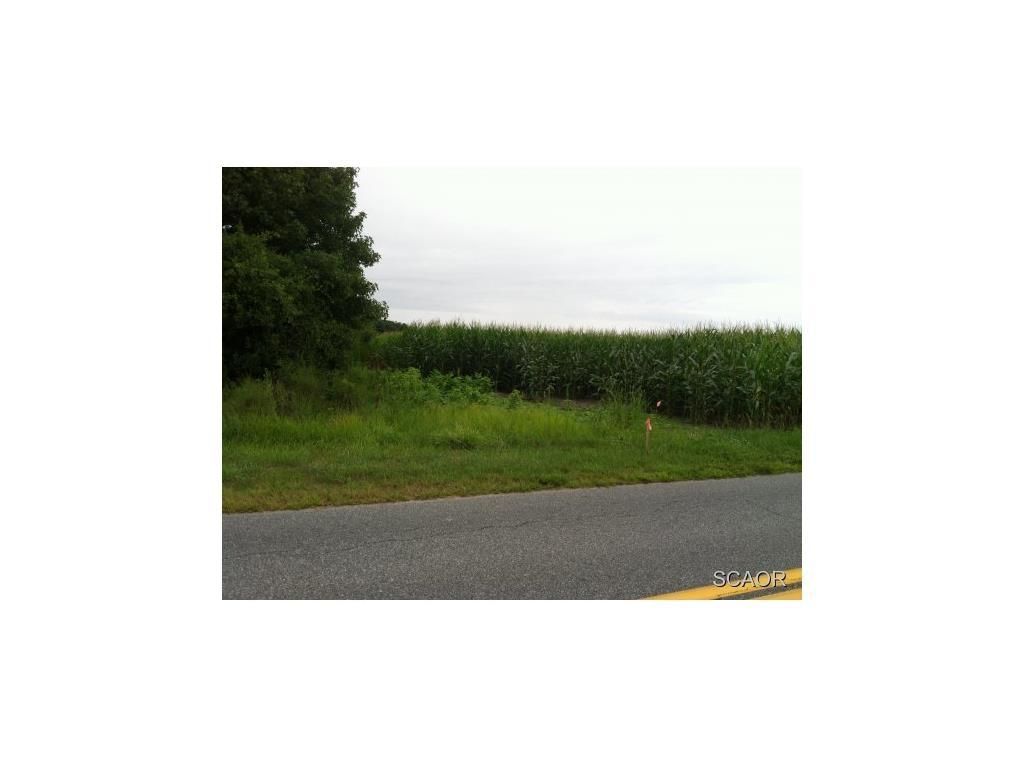 3 Acres, ROAD, Selbyville, DE 19975 Land and Farm