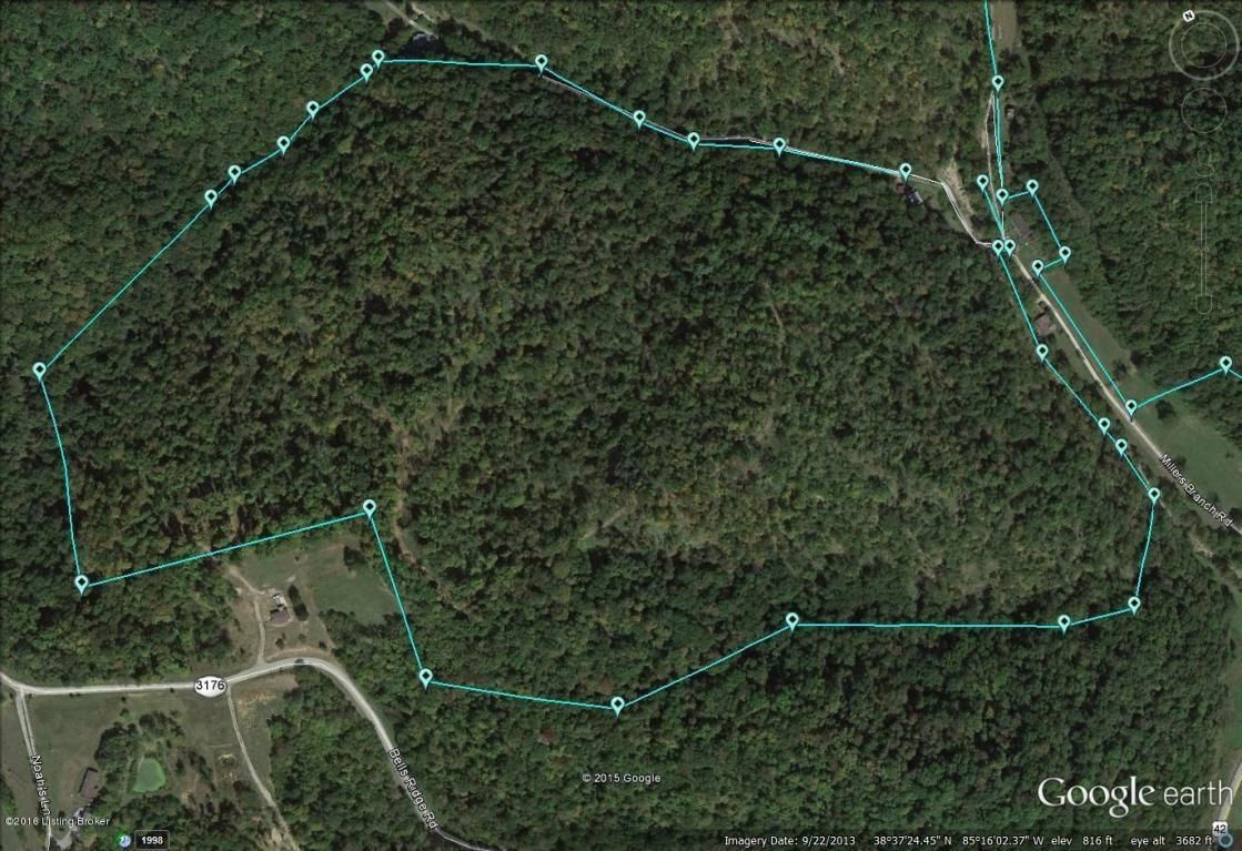 79 Acres, 79 Miller Branch Rd, Bedford, KY 40006 Land and Farm