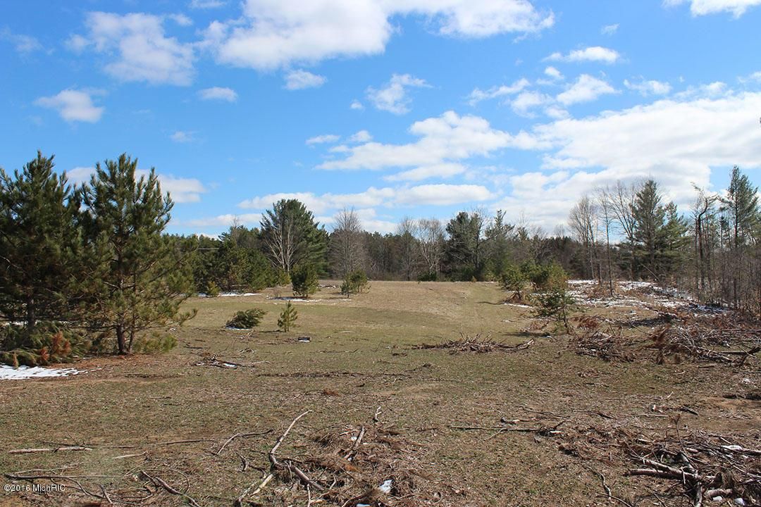 Parcel AB 160th, Hersey, MI 49639 Land and Farm