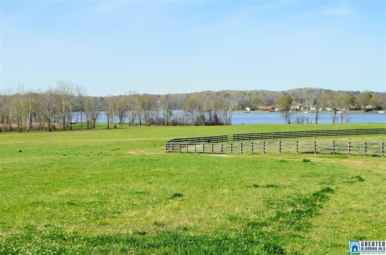 20 Acres, 4683 MCGOWANS FERRY RD, Childersburg, AL 35014 Land and Farm