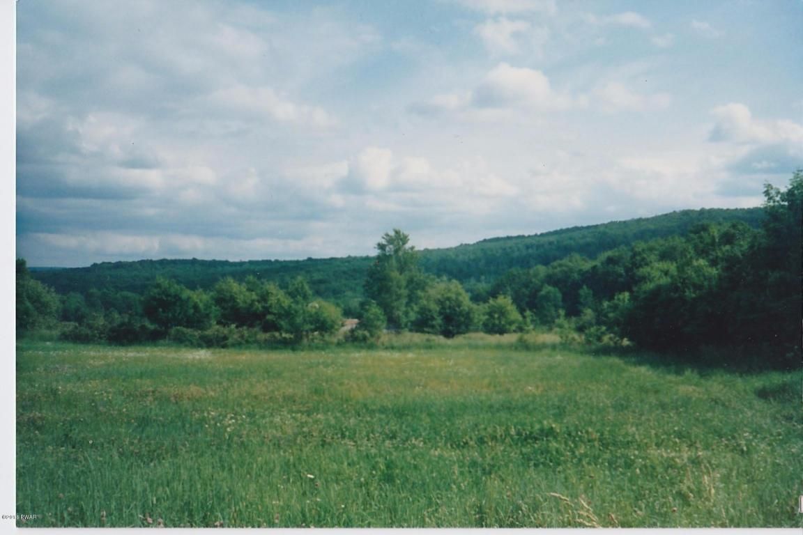 10 Acres, Akers Road, Newfoundland, PA 18445 Land and Farm